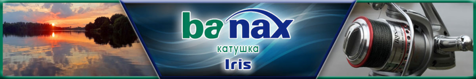 Banax Iris