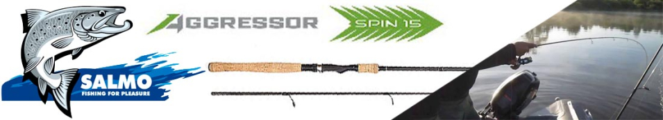 Salmo Aggressor Spin 15