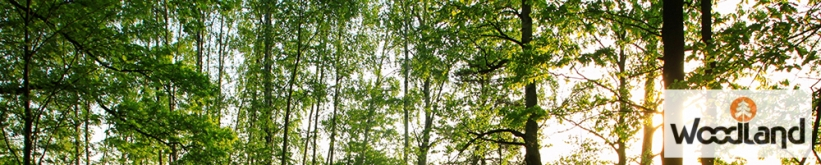 Woodland Camping Kitchen Max