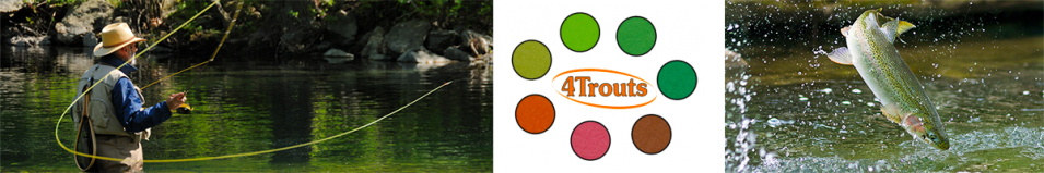 4Trouts Подсачек нахлыстовый