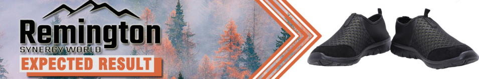 Remington Expected Result