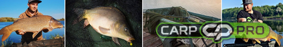 Carp Pro CPCPCS Сумка