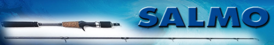 Salmo Elite Silver Jerk