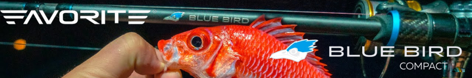 Favorite Blue Bird Compact New