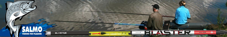 Salmo Blaster Pole Set