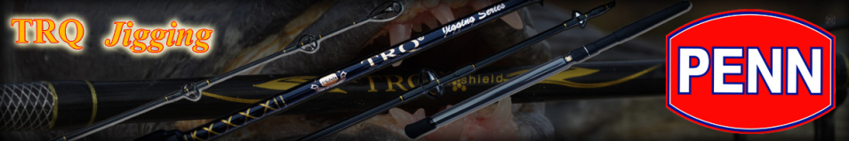 Penn TRQ Jig