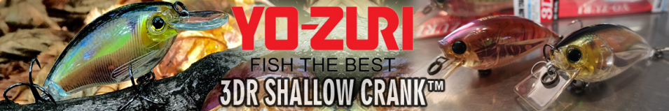 Yo-Zuri 3DR Shallow Crank (F) 70mm R1316