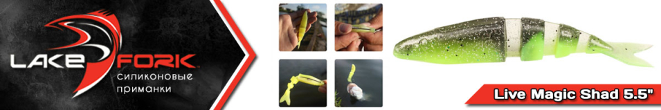 Lake Fork Live Magic Shad 5.5"