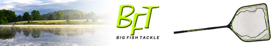 BFT Medium Net