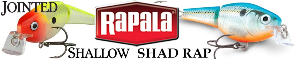 Rapala Jointed Shallow Shad Rap