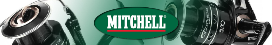 Mitchell Avocet Silver 4 FD