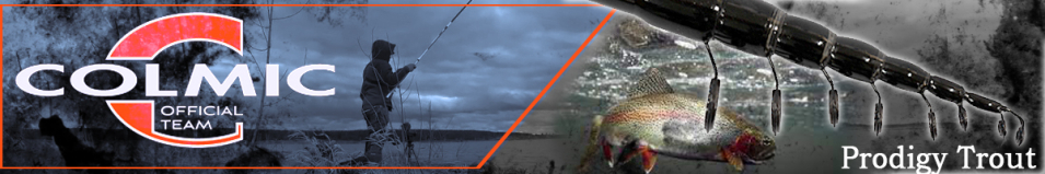 Colmic Prodigy Trout