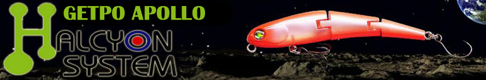 Halcyon System Getpo Apollo