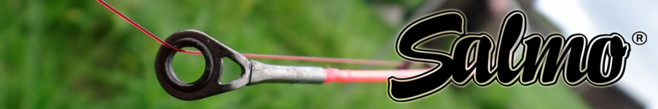 Salmo Elite Picker 40 