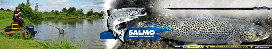 Salmo Sniper Bolognese 2-е Колено удилища