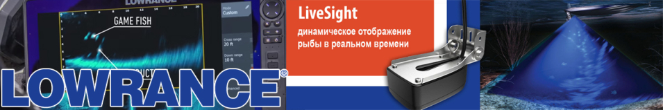 Lowrance LiveSight Transducer