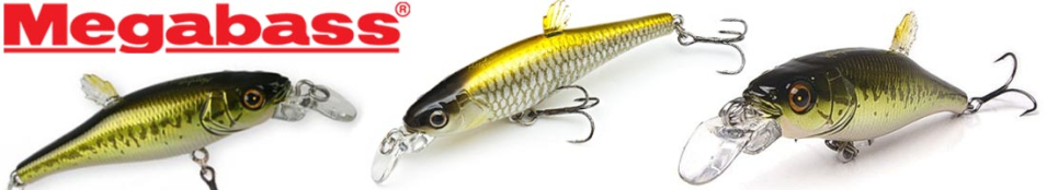 Megabass Live-X Margay Stepcat