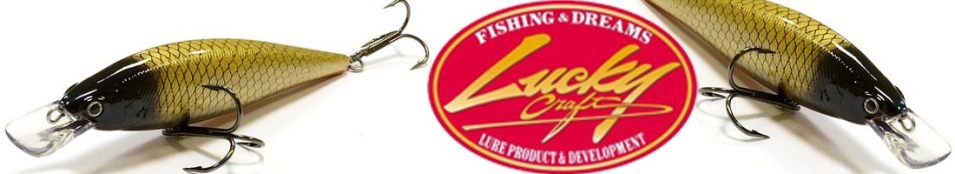 Lucky Craft Pointer 140