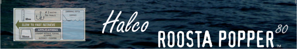 Halco Roosta Popper 80