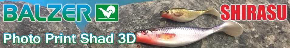 Balzer Shirasu Photo Print Shad 3D 6см 4гр