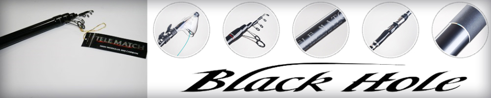 Black Hole Tele Match-II