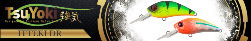 TsuYoki Itteki DR 46F
