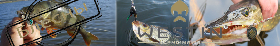 Westin Optic 360° #2 5.5g