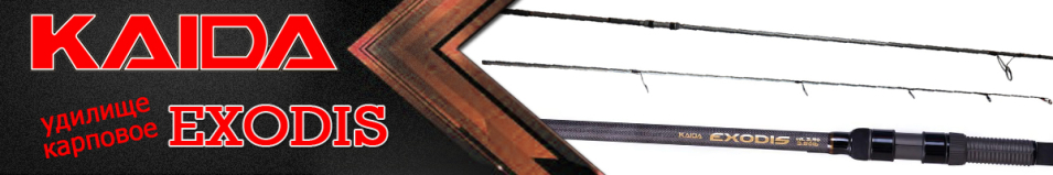 Kaida Exodis