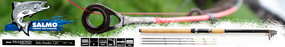 Salmo Diamond Tele Feeder 120