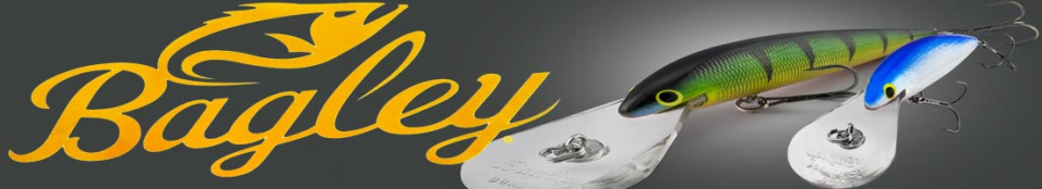 Bagley Deep Diving Minnow B04