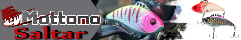 Mottomo Saltar 60S "2 в 1"