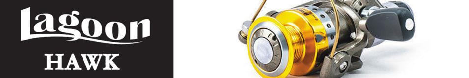 Lagoon Hawk