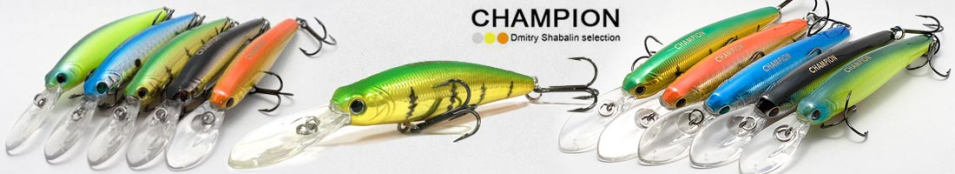 Champion 8035 AM 75SP