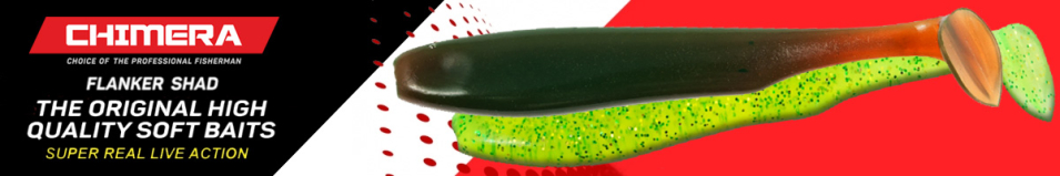 Chimera Flanker Shad 4"