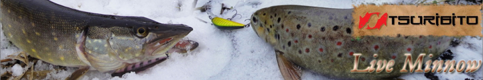 Tsuribito Live Minnow 55S