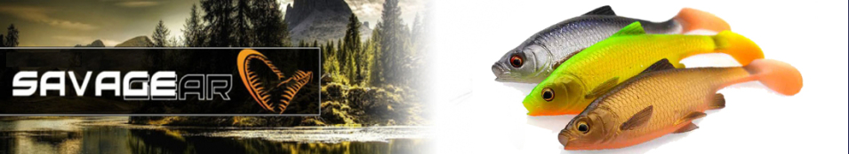 Savage Gear 3D Roach Kit