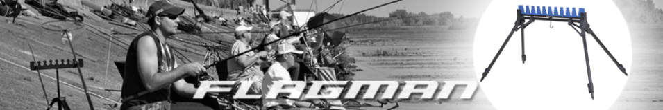 Flagman (ZX1006) Держатель гребенка