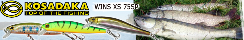 Kosadaka Wins XS 75SP
