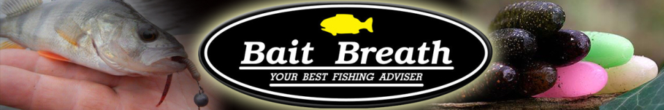 Bait Breath Needle RealFry for Trout 2,5"