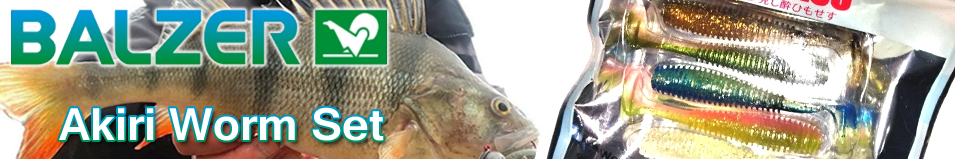 Balzer Akiri Worm Set 9,5см