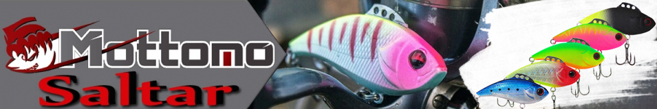 Mottomo Saltar 40S "5 в 1"