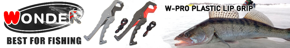 Wonder W-Pro Plastic Lip Grip