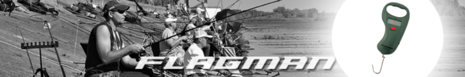 Flagman Весы 45кг (FWH45001)