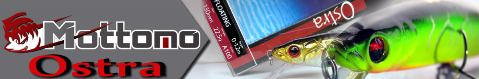 Mottomo Ostra 100F