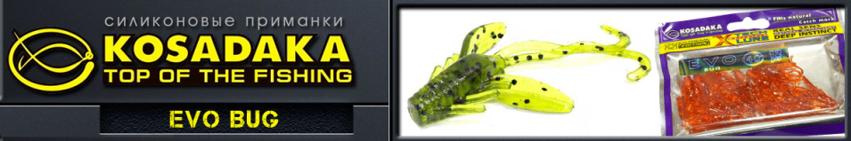 Kosadaka Evo Bug