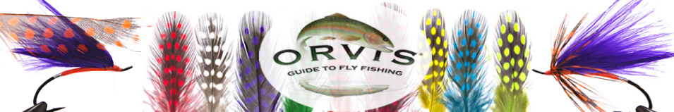 Orvis Guinea
