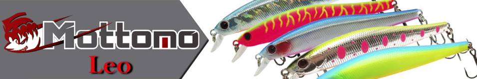 Mottomo Leo 90SP "5 в 1"