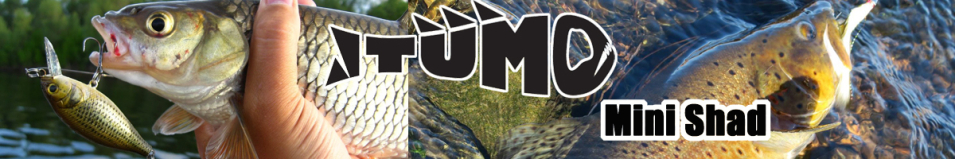 Itumo Mini Shad 45SP
