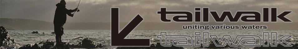 Tailwalk All Round Minnow SW 90D