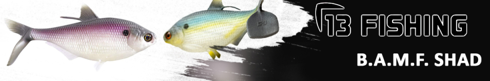 13 Fishing B.A.M.F. Shad 8"
